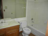 bathroom, bath, shower, sink, washstand, toilet, lavatory, water closet, mirror, glass
